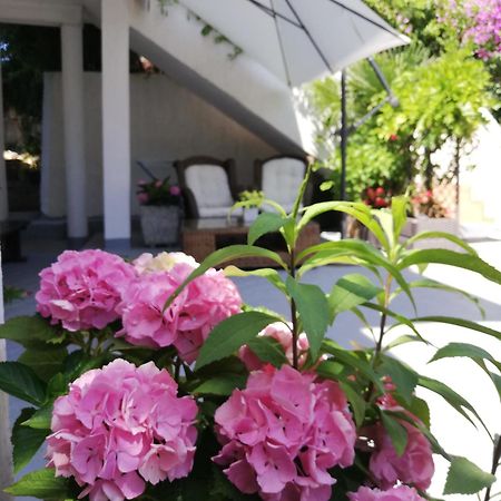Apartments Poretti For 2,In Center Parking Free In The Yard,6 Min Beach Walk Rovigno Esterno foto