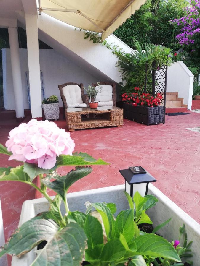 Apartments Poretti For 2,In Center Parking Free In The Yard,6 Min Beach Walk Rovigno Esterno foto