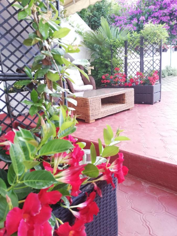 Apartments Poretti For 2,In Center Parking Free In The Yard,6 Min Beach Walk Rovigno Esterno foto