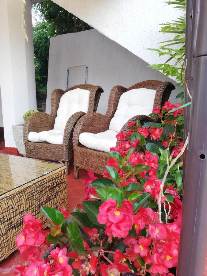 Apartments Poretti For 2,In Center Parking Free In The Yard,6 Min Beach Walk Rovigno Esterno foto