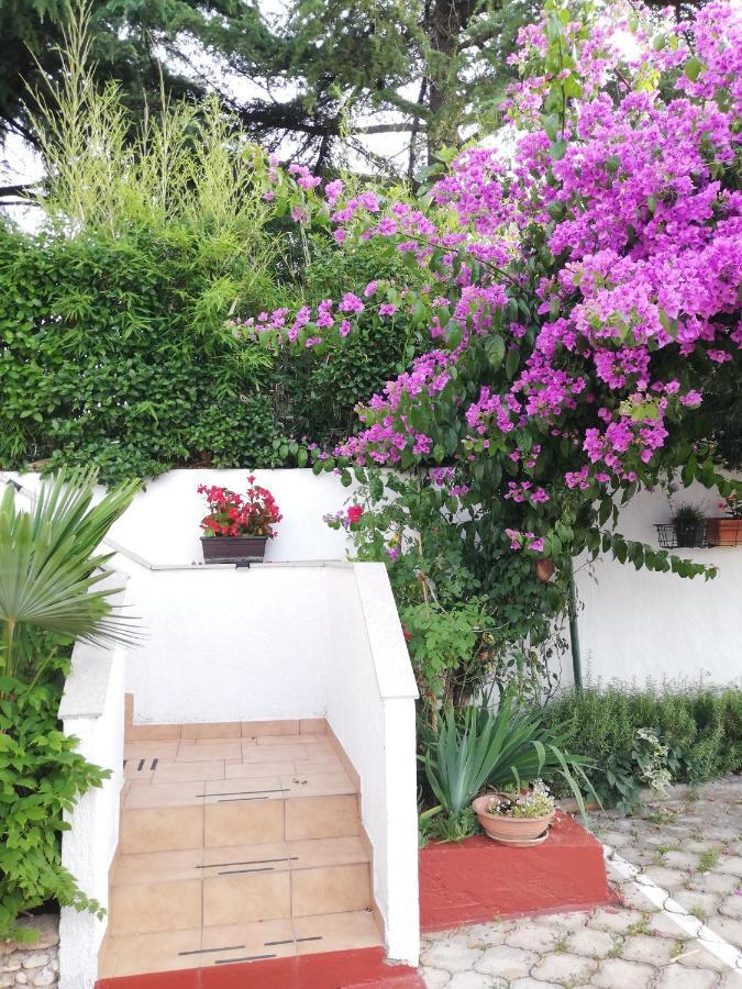 Apartments Poretti For 2,In Center Parking Free In The Yard,6 Min Beach Walk Rovigno Esterno foto