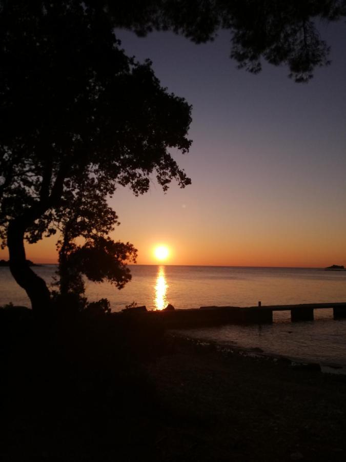 Apartments Poretti For 2,In Center Parking Free In The Yard,6 Min Beach Walk Rovigno Esterno foto
