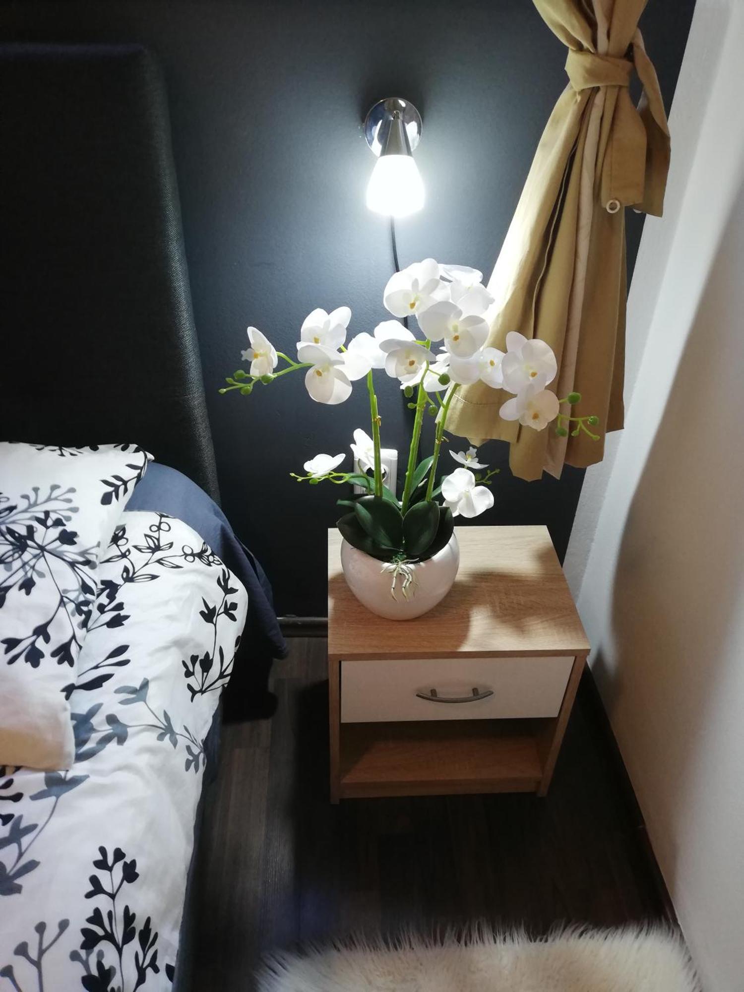 Apartments Poretti For 2,In Center Parking Free In The Yard,6 Min Beach Walk Rovigno Esterno foto