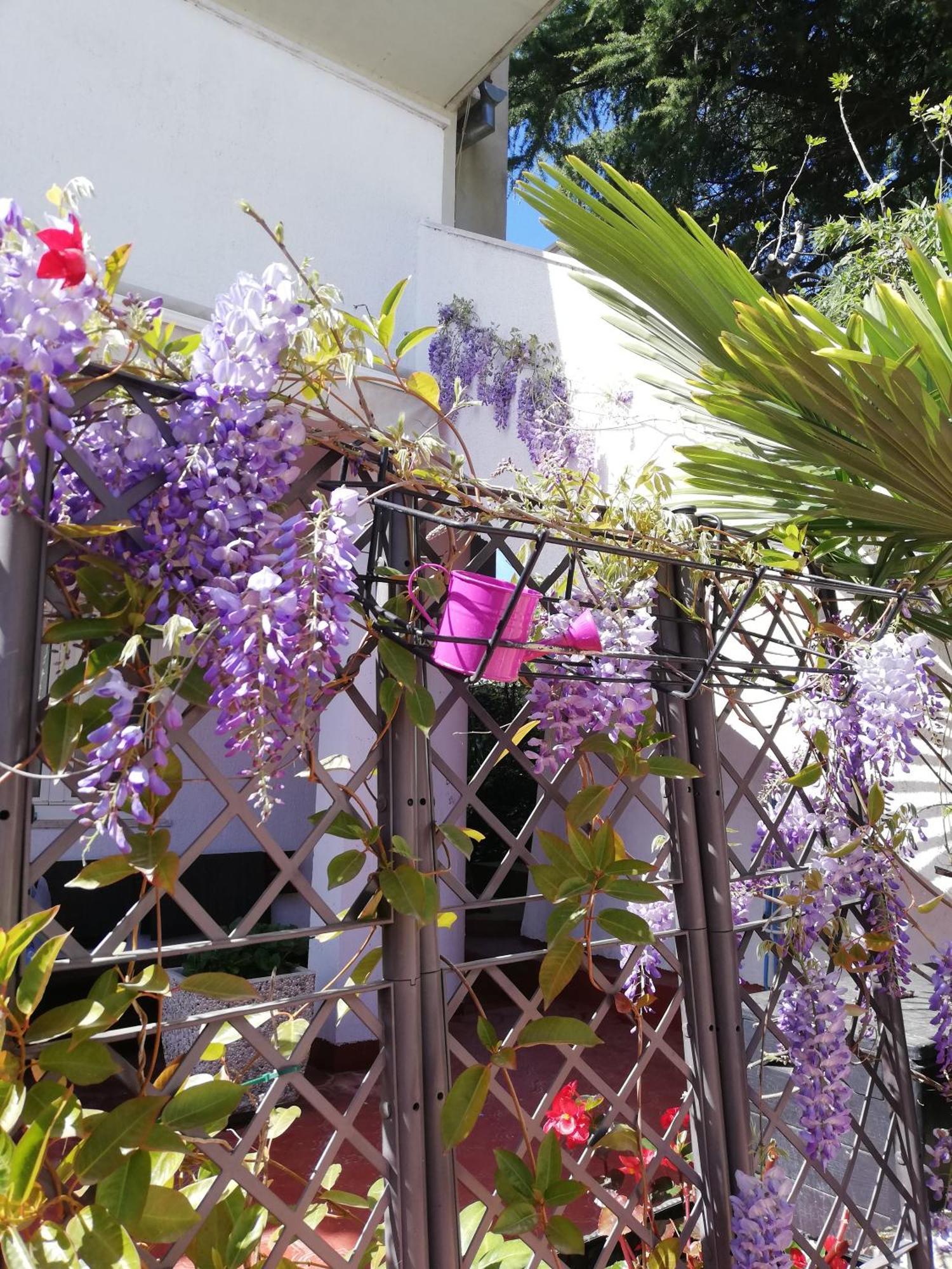 Apartments Poretti For 2,In Center Parking Free In The Yard,6 Min Beach Walk Rovigno Esterno foto