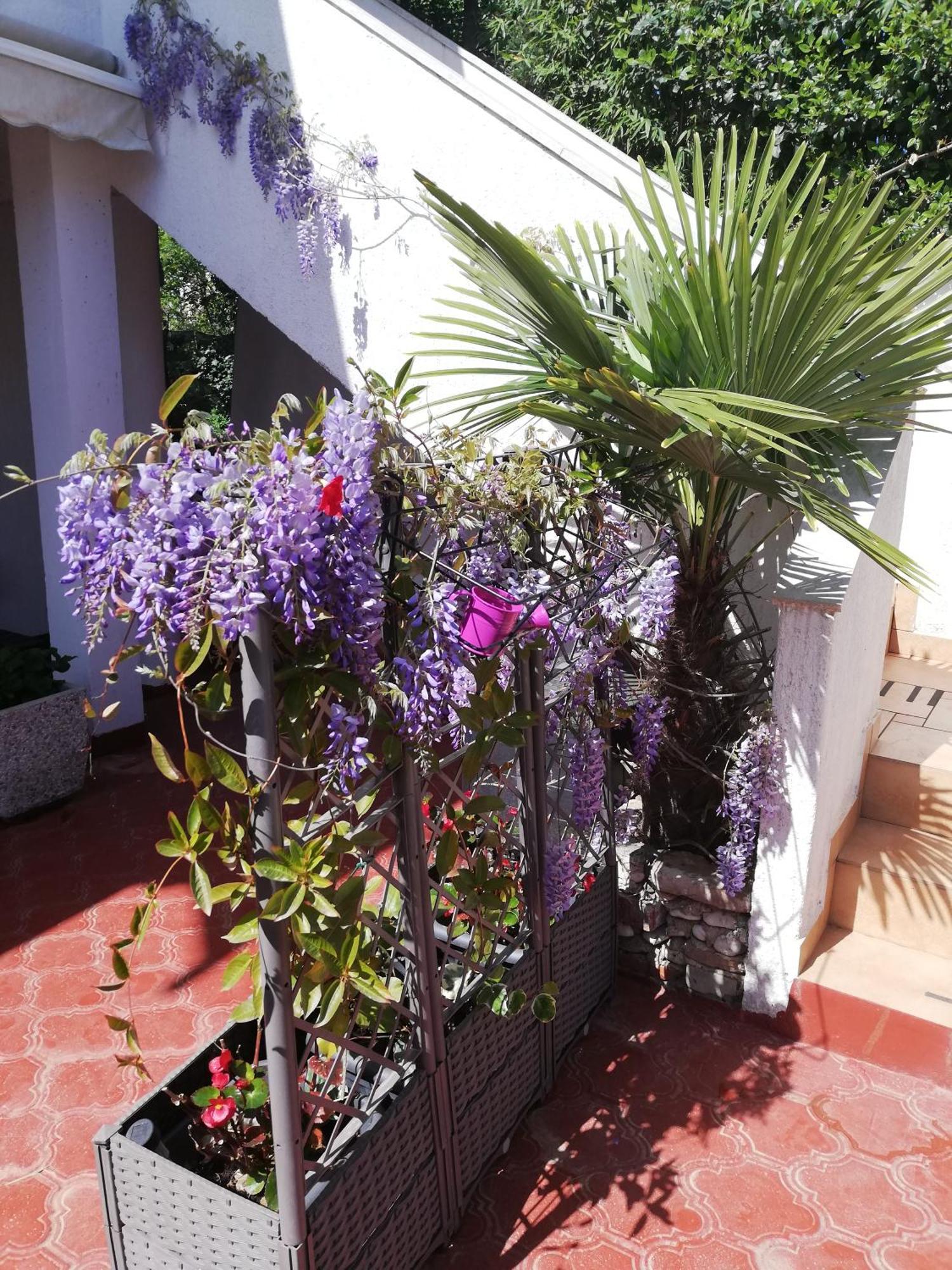 Apartments Poretti For 2,In Center Parking Free In The Yard,6 Min Beach Walk Rovigno Esterno foto