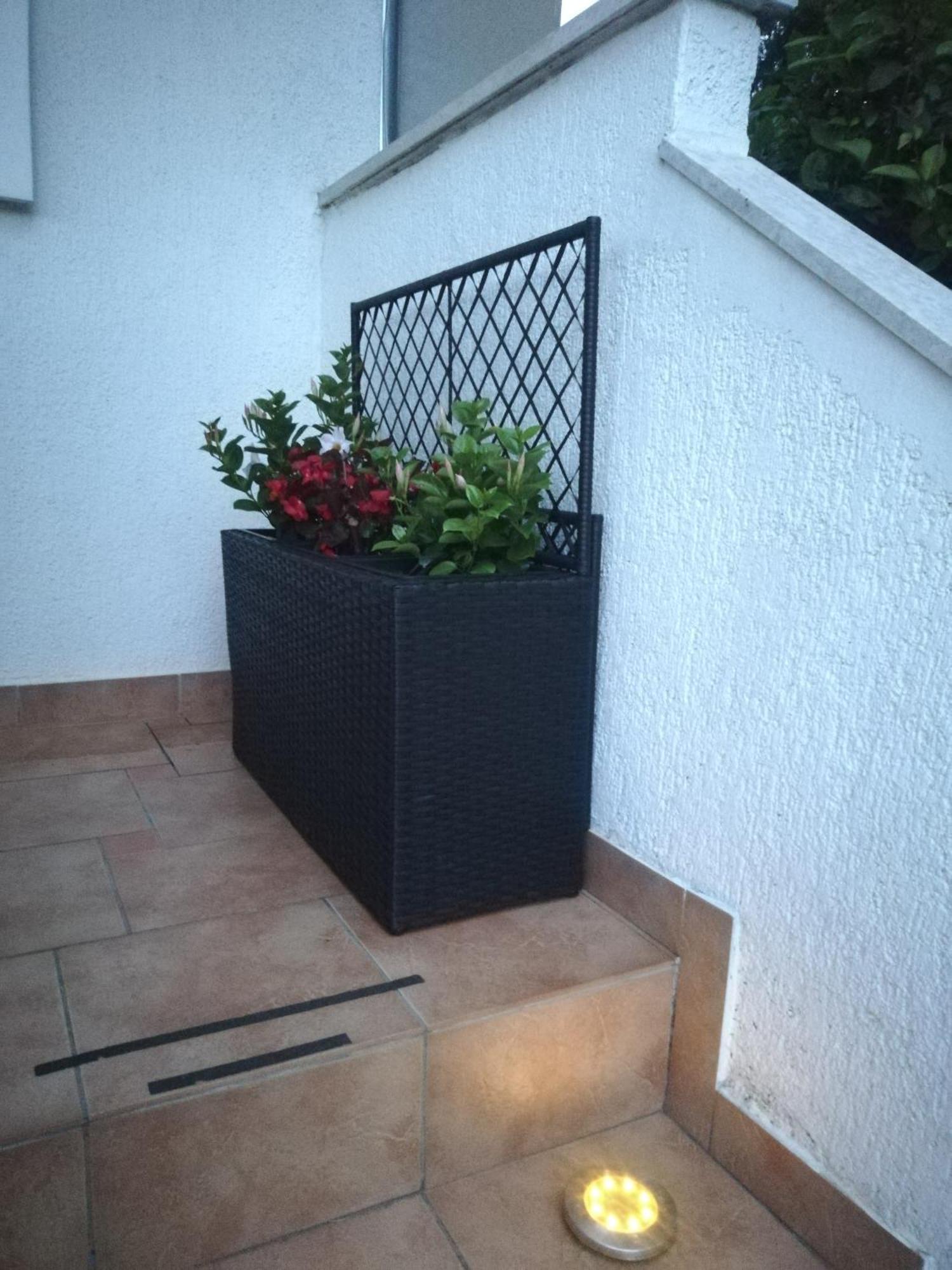 Apartments Poretti For 2,In Center Parking Free In The Yard,6 Min Beach Walk Rovigno Esterno foto