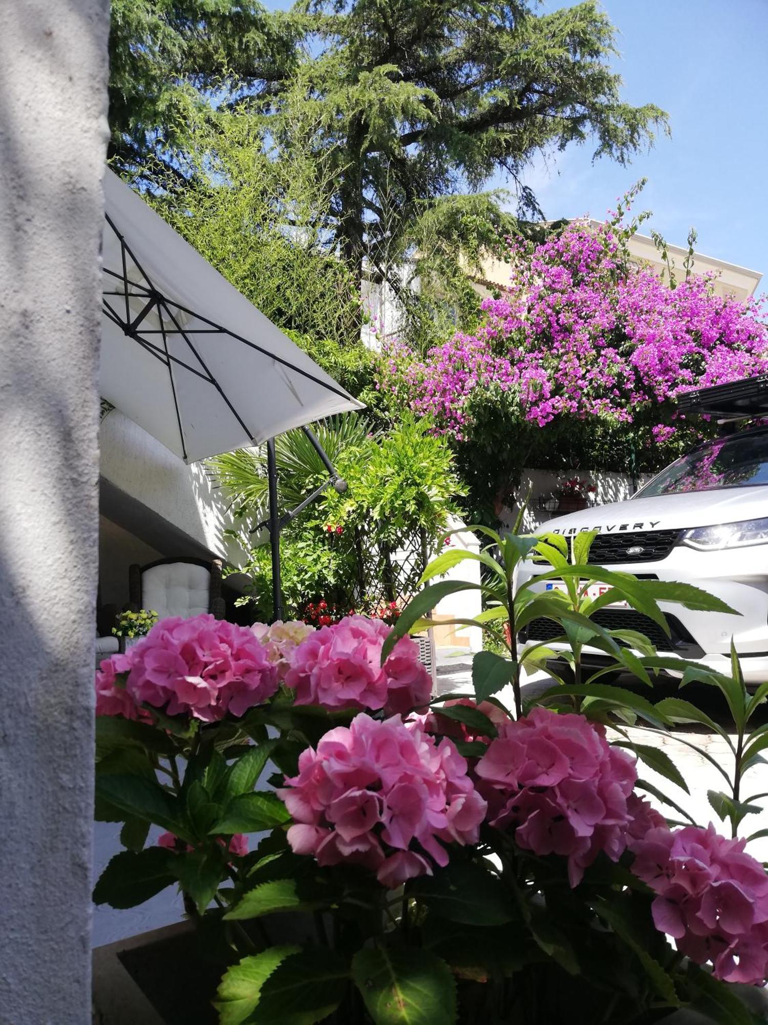 Apartments Poretti For 2,In Center Parking Free In The Yard,6 Min Beach Walk Rovigno Esterno foto