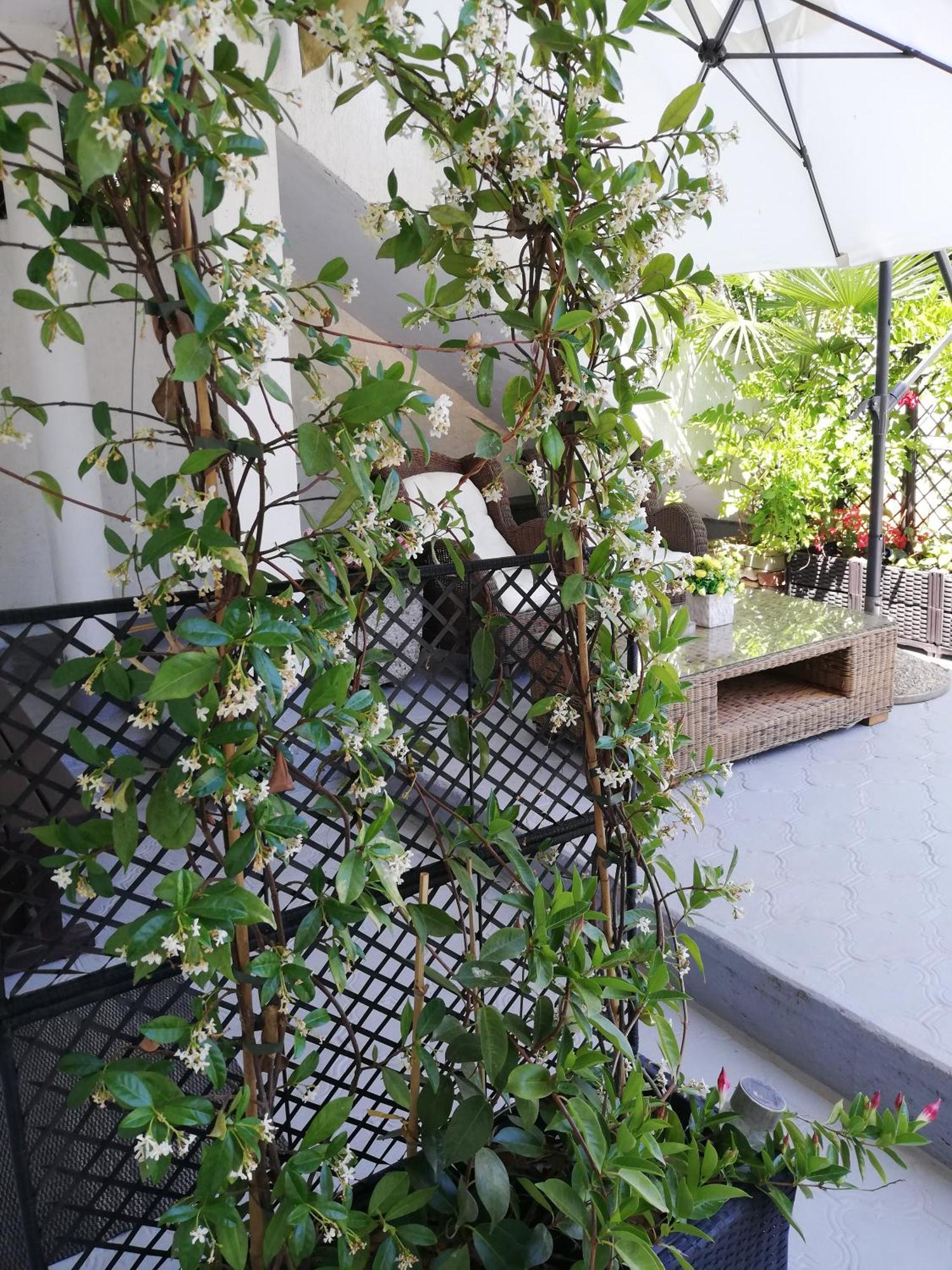 Apartments Poretti For 2,In Center Parking Free In The Yard,6 Min Beach Walk Rovigno Camera foto