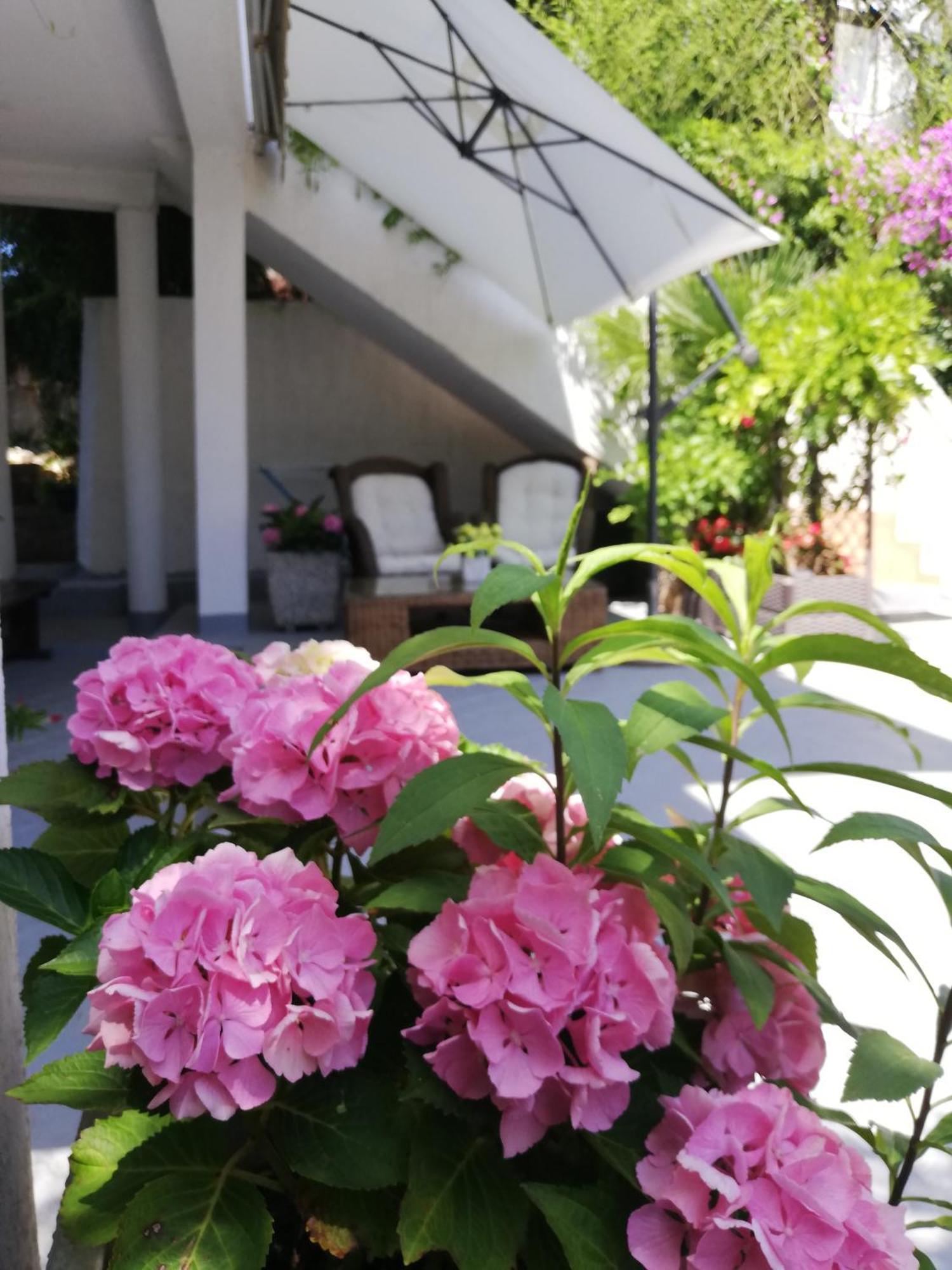 Apartments Poretti For 2,In Center Parking Free In The Yard,6 Min Beach Walk Rovigno Esterno foto